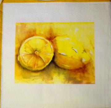 103 Zitronen, Orangen - 3-lagig - 35x35 cm